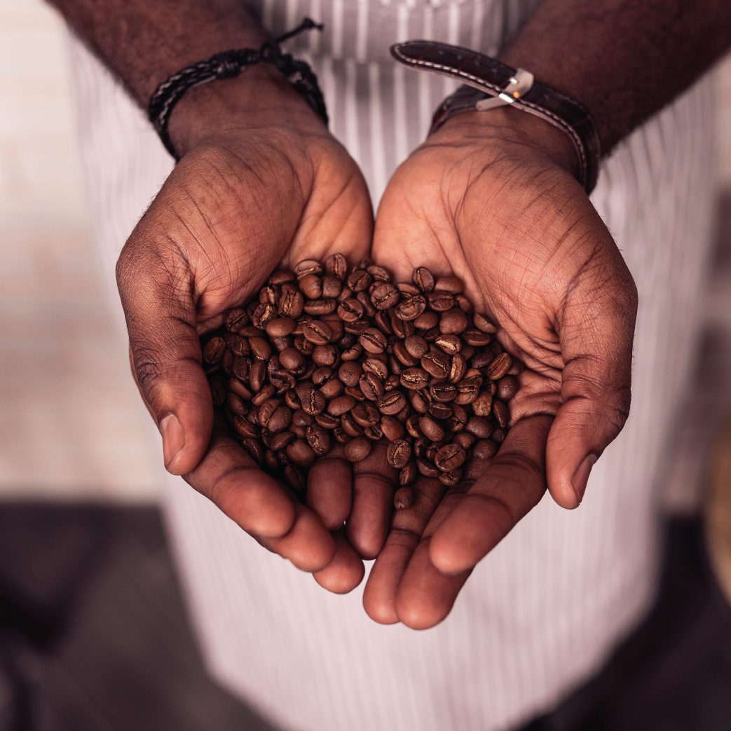 D1 - ETHIOPIA YIRGACHEFFE