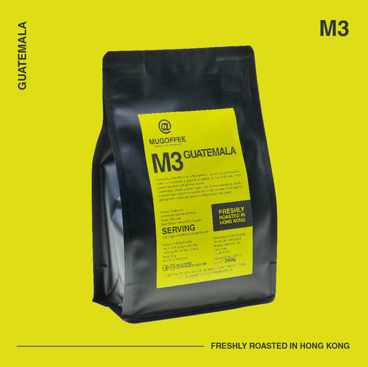 M3 - GUATEMALA