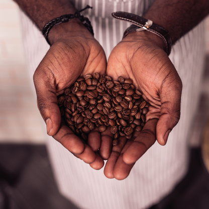 D1 - ETHIOPIA YIRGACHEFFE