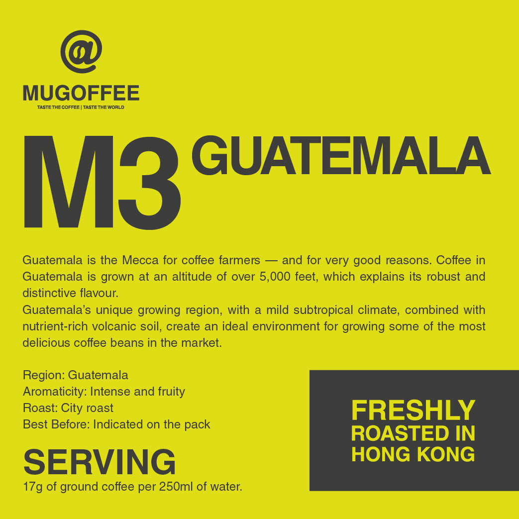M3 - GUATEMALA